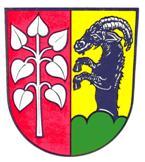 Wappen der Gemeinde Schwifting