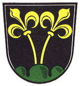 LogoWappen der Großen Kreisstadt Traunstein